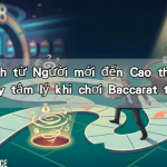 Lộ trình từ Người mới đến Cao thủ: Cách tránh bẫy tâm lý khi chơi Baccarat tại 188bet
